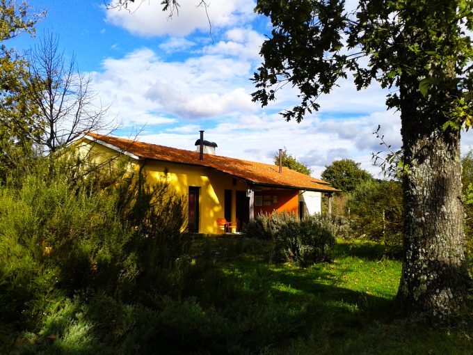 Casa das Palmeiras